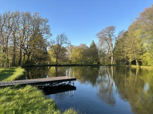 A tranquil pond on a Summers day surrounded by trees