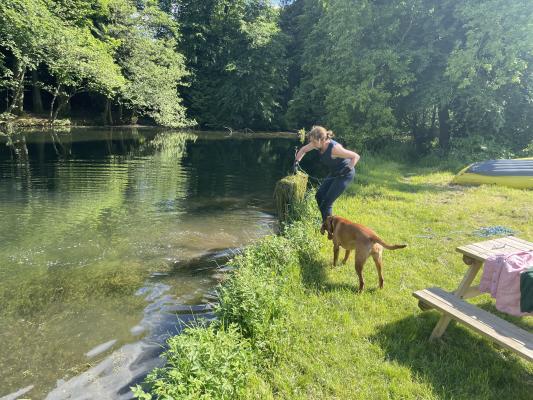 Pondweed work-out
