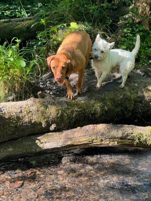 Mabel and Freddie