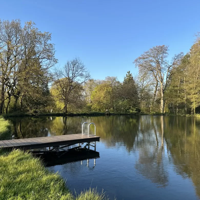 A tranquil pond on a Summers day surrounded by trees